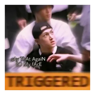 🗿 sAy ThAt AgaiN
TO My fAcE
TRIGGERED กระตุ้น, โกรธ, หน้า, อีกครั้ง telegram sticker