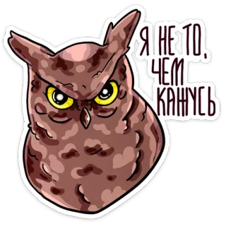 🌚 Я НЕ ТО, ЧЕМ КАЖУСЬ búho, pájaro, ruso, texto, animal whatsapp sticker