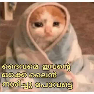 😂 ദൈവമേ ഇവൻ്റെ ഒക്കെ ലൈൻ നശിച്ചു പോകട്ടെ cat, blanket, sad, cute, animal telegram sticker