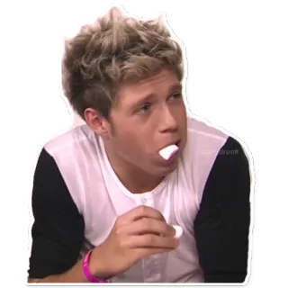 🙈 Niall Horan célébrité, chanteur, pop star, niall horan, one direction, drôle telegram sticker