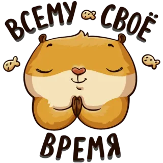 🙏 ВСЕМУ СВОЕ ВРЕМЯ hamster, fofo, meditação, animais, peixe telegram sticker