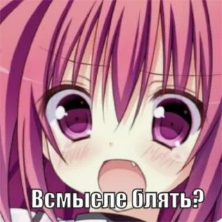😨 Всмысле блять? animé, dessin animé, mème, fille, choquée telegram sticker