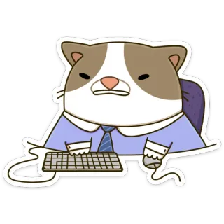 😐 cat, office, keyboard, animal, cartoon, work whatsapp sticker