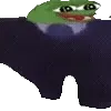 🚶‍♀️
