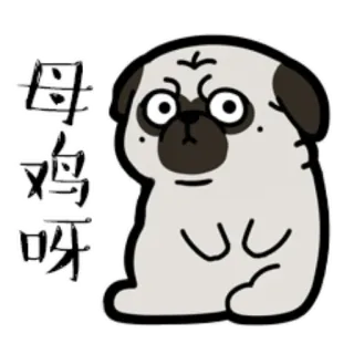 🤷‍♂️ 母鸡呀 pug, anjing, hewan, stiker, kartun, marah telegram sticker