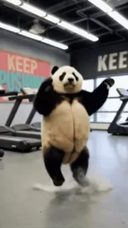🌟 KEEP PUSHING panda, exercise, treadmill, gym, working out, keep pushing, motivational telegram sticker