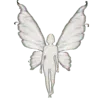 🦋