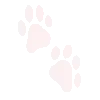 🐾