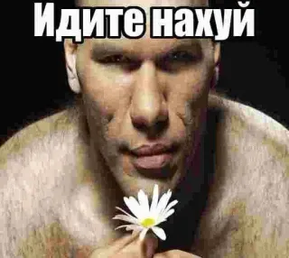 🌟 Идите нахуй offensant, insulte, russe, juron telegram sticker
