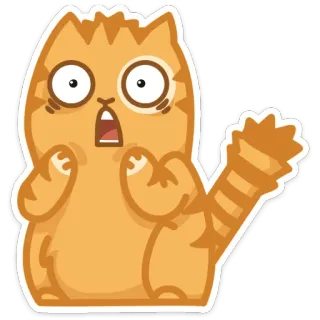 😳 chat, effrayé, orange, dessin animé, animal telegram sticker