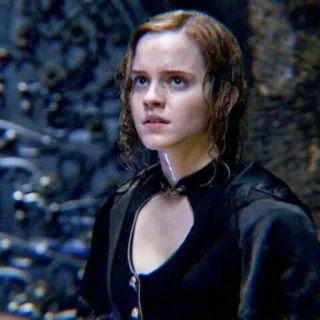 🐿 Hermione Granger Harry Potter Hermelien, Emma Watson, Harry Potter, heks, magie, tovenarijwereld telegram sticker
