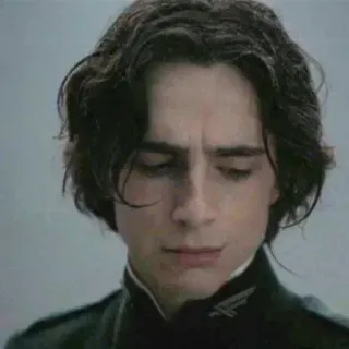 😐 Paul Atreides Dune Paul Atreides, Timothée Chalamet, Dune, movie, science fiction, Atreides telegram sticker