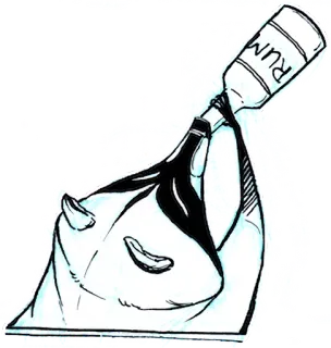 Raccoon - By Simkaye telegram stickers