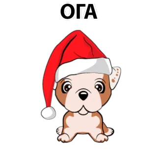 😄 ОГА dog, christmas, hat, cute, animal, festive telegram sticker