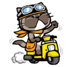 🚲 Katze, Roller, Tier, Cartoon, Motorrad, Helm, Fahren, Spaß whatsapp sticker