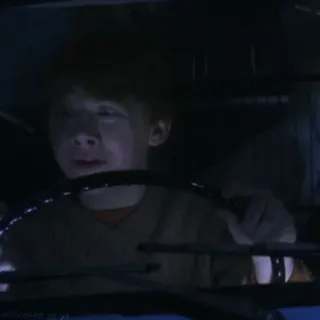 🦁 Ron Weasley ロン・ウィーズリー, ハリーポッター, 赤毛, 車, 魔法, 男の子 telegram sticker