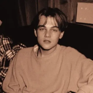 🌻 Leonardo DiCaprio actor, celebrity, leonardo dicaprio, young telegram sticker