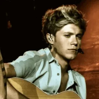 ✨ Niall Horan นักดนตรี, นักร้อง, กีตาร์, คอนเสิร์ต, ไนออล ฮอแรน, วันไดเรกชัน telegram sticker