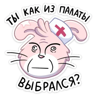 👩‍⚕️ ТЫ КАК ИЗ ПАЛАТЫ ВЫБРАЛСЯ? lapin, infirmière, hôpital, dessin animé, mème telegram sticker