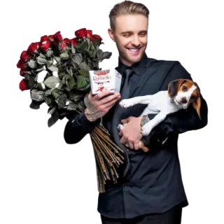 ☺️ uomo, cane, rose, regalo, cioccolato, beagle telegram sticker