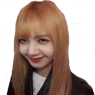 😂 Lisa wanita, orang, selebriti, kpop, penyanyi, Lisa, Blackpink, rambut pirang telegram sticker