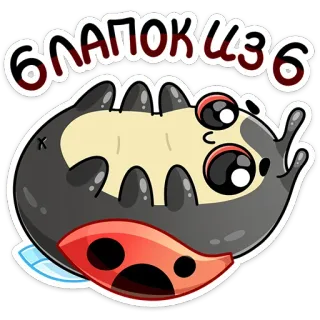 ☺️ БЛАПОК ШЗ6 imut, kartun, binatang, serangga, kepik, lucu, blapok whatsapp sticker