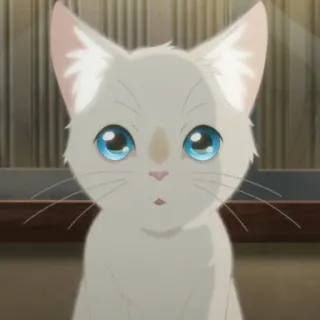 🎗 кот, котенок, милый, аниме, питомец, животное, голубые глаза telegram sticker