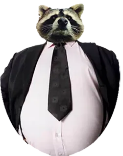 🤵 guaxinim, terno, gravata, antropomórfico, engraçado telegram sticker