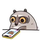 Raccoon Days @TgEmojis telegram emojis 👍