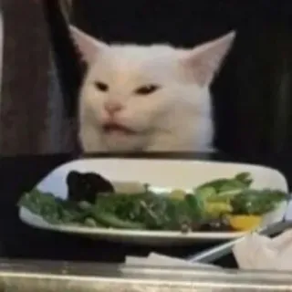 🤨 chat, mème, dégoûté, nourriture, salade, drôle, animal telegram sticker
