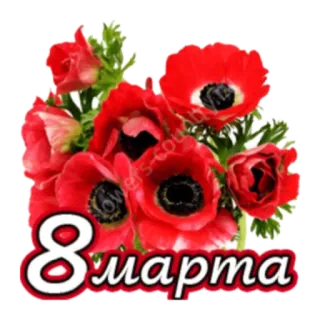 🙂 8 марта 花, 3月8日, 国際女性デー, 赤い花, 花束 telegram sticker