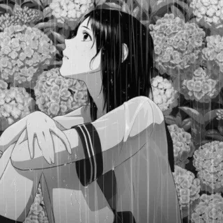 ⛈ Anime, Regen, Mädchen, Traurig, Hortensie, Schwarzweiß telegram sticker