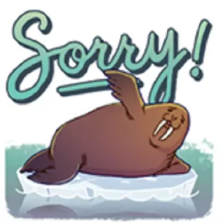 📉 Sorry! tricheco, ghiaccio, animale, carino, scusa telegram sticker