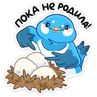 🥚 ПОКА НЕ РОДИЛА! Vogel, Nest, Eier, süß, blau, Tier, Baby whatsapp sticker