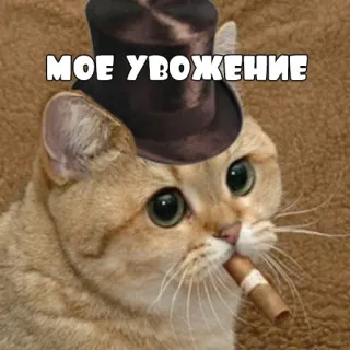 🤝 МОЕ УВОЖЕНИЕ кот, сигара, цилиндр, мем, смешно, животное telegram sticker