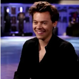 🌸 Harry Styles musicien, chanteur, célébrité, pop star, artiste, artiste telegram sticker