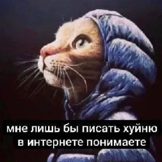 😸 мне лишь бы писать хуйню в интернете понимаете chat, internet, écriture, russe, sweat à capuche, animal telegram sticker