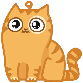😳 kat, sticker, dier, schattig, cartoon, oranje kat whatsapp sticker