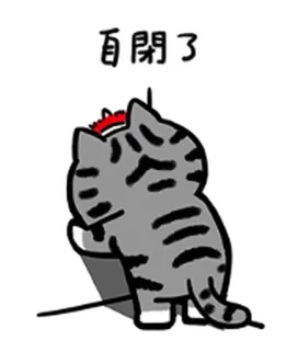 😶 自閉了 mèo, anime, chữ Trung Quốc, buồn, phim hoạt hình telegram sticker