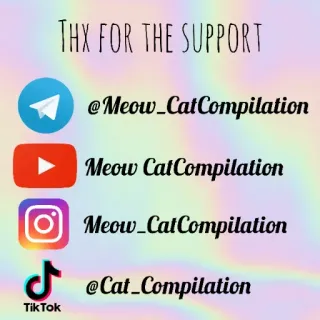 🐱 THX FOR THE SUPPORT
@Meow_CatCompilation
Meow CatCompilation
@Meow_CatCompilation
@Cat_Compilation telegram, youtube, instagram, tiktok, 社交媒体, 猫, 合集 telegram sticker