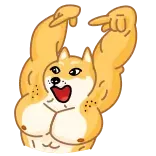 😃 Doge doge, hond, meme, grappig, dier, huisdier whatsapp sticker