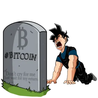 😭 #BITCOIN Don't cry for me Just wait for my return. bitcoin, cryptocurrency, finance, grave, digital currency, investment telegram sticker