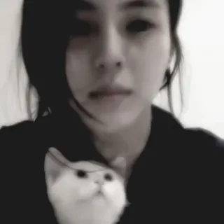 ⏰ wanita, kucing, hewan, potret, selfie, wajah whatsapp sticker