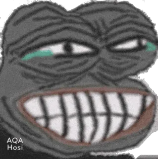 😂 Pepe the Frog AQA Hosi Meme, Kikker, Internetcultuur telegram sticker