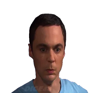 😠 Sheldon Cooper The Big Bang Theory Sheldon, The Big Bang Theory, sorpreso, serie TV, sitcom telegram sticker