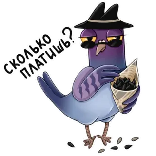 💰 СКОЛЬКО ПЛАТИШЬ? pigeon, hat, sunglasses, seeds, cartoon telegram sticker