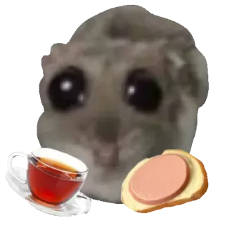 🥪 Sad Hamster sad hamster, meme, tea, sandwich, cute, animal, rodent, wholesome telegram sticker