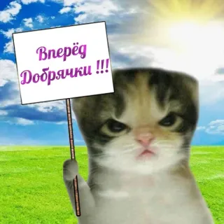 🙂 Вперёд Добрячки !!! kot, kociak, znak, rosyjski, dobrzy ludzie telegram sticker