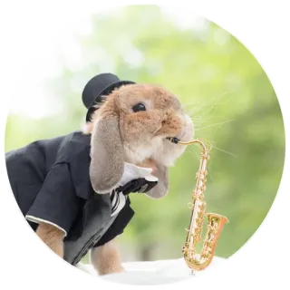 🎷 rabbit, bunny, saxophone, music, animal, cute, pet, hat telegram sticker