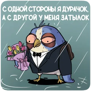 🙂 С ОДНОЙ СТОРОНЫ Я ДУРАЧОК, А С ДРУГОЙ У МЕНЯ ЗАТЫЛОК burung, tuksedo, bunga, kartun, hujan, buket, imut, hewan whatsapp sticker